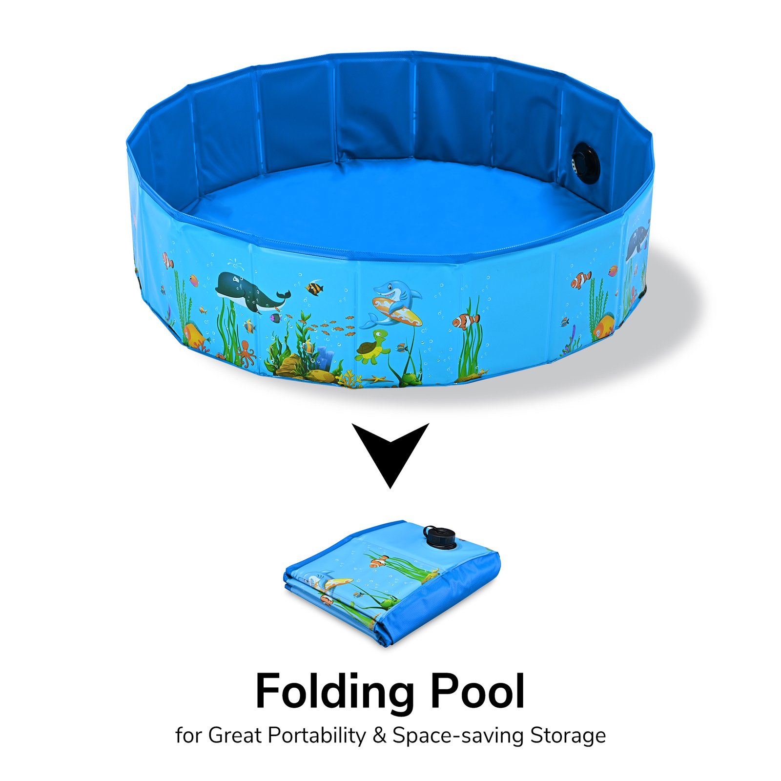 17dsp001-32fs-03_a01