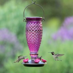 Premium Hanging Glass Hummingbird Feeder